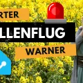 Pollen Alert on Your Dashboard: Never Forget Allergy Meds